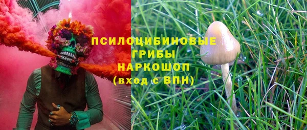 a pvp Тобольск