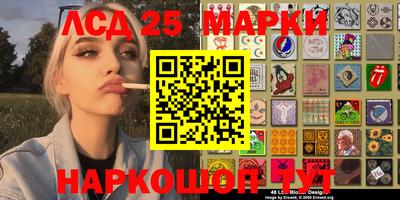 стаф Берёзовский