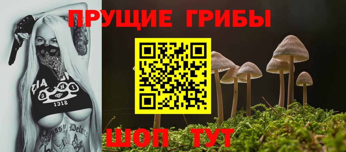 Псилоцибиновые грибы GOLDEN TEACHER  Дивногорск 