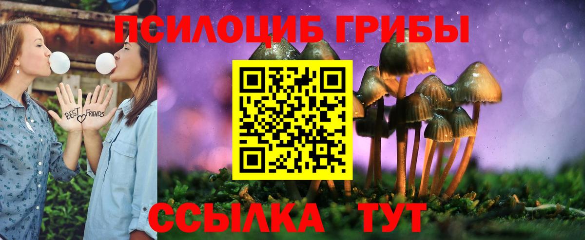 Галлюциногенные грибы ЛСД Дивногорск