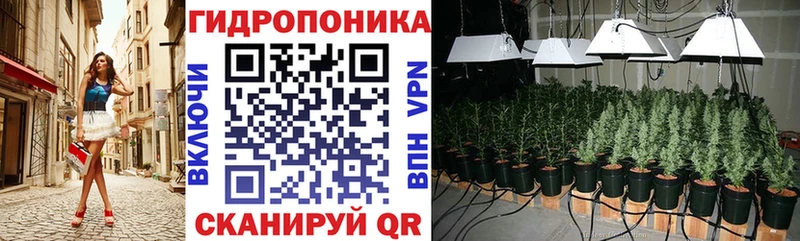 omg вход  Дивногорск  Шишки марихуана OG Kush  закладки 